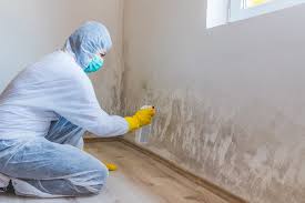 Best Emergency Mold Remediation  in Gra Forks Af, ND